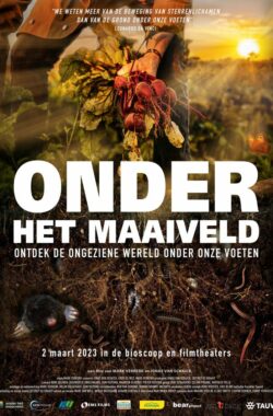 Onder-het-Maaiveld_ps_1_jpg_sd-low_EMS-FILMS Onder-het-Maaiveld_ps_1_jpg_sd-low_EMS-FILMS