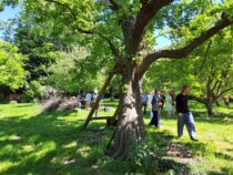 Eeuwige bossen | Voedselpark Amsterdam
