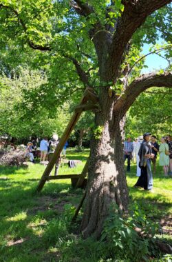 thumbnail_20250511_134942 thumbnail_20250511_134942