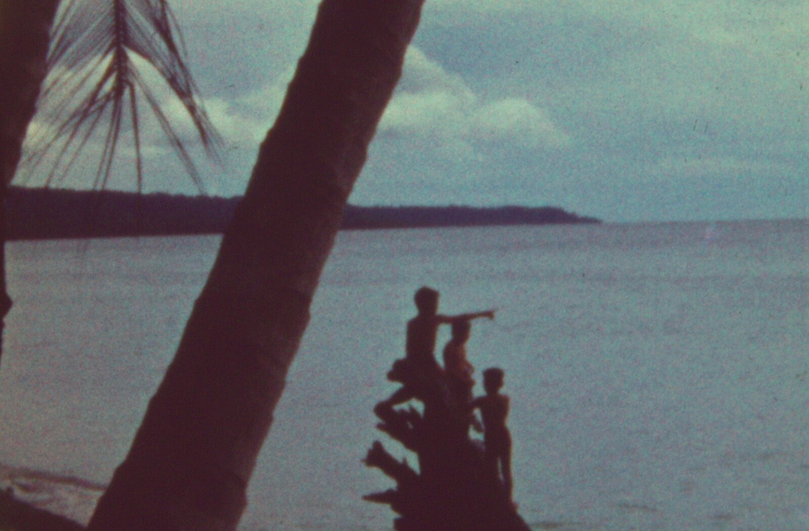 2311_still.jpg