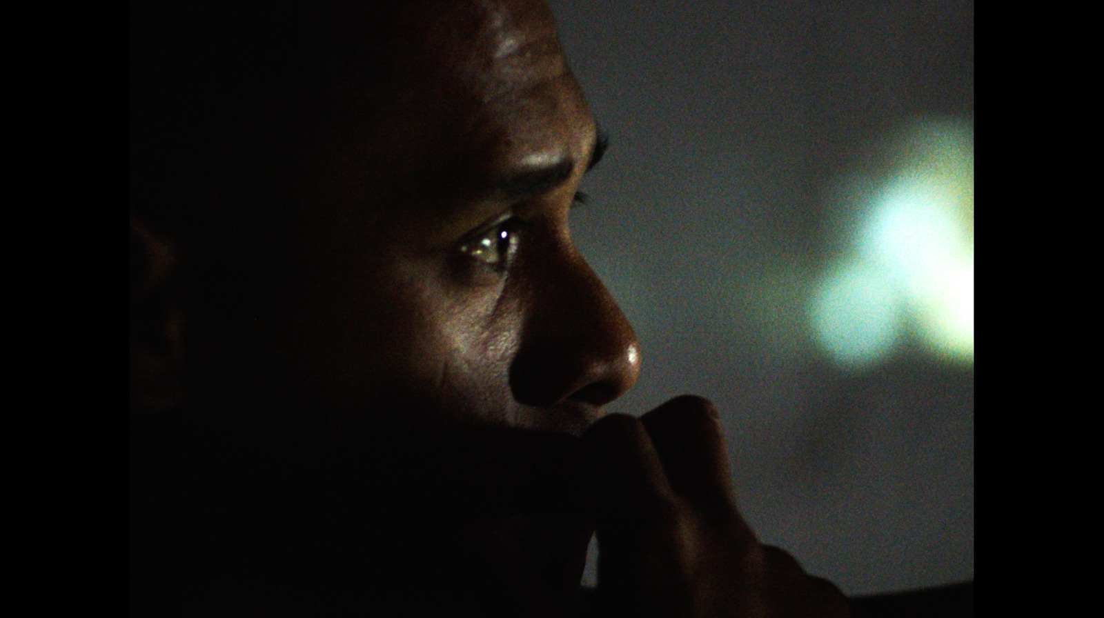 2313_still.jpg