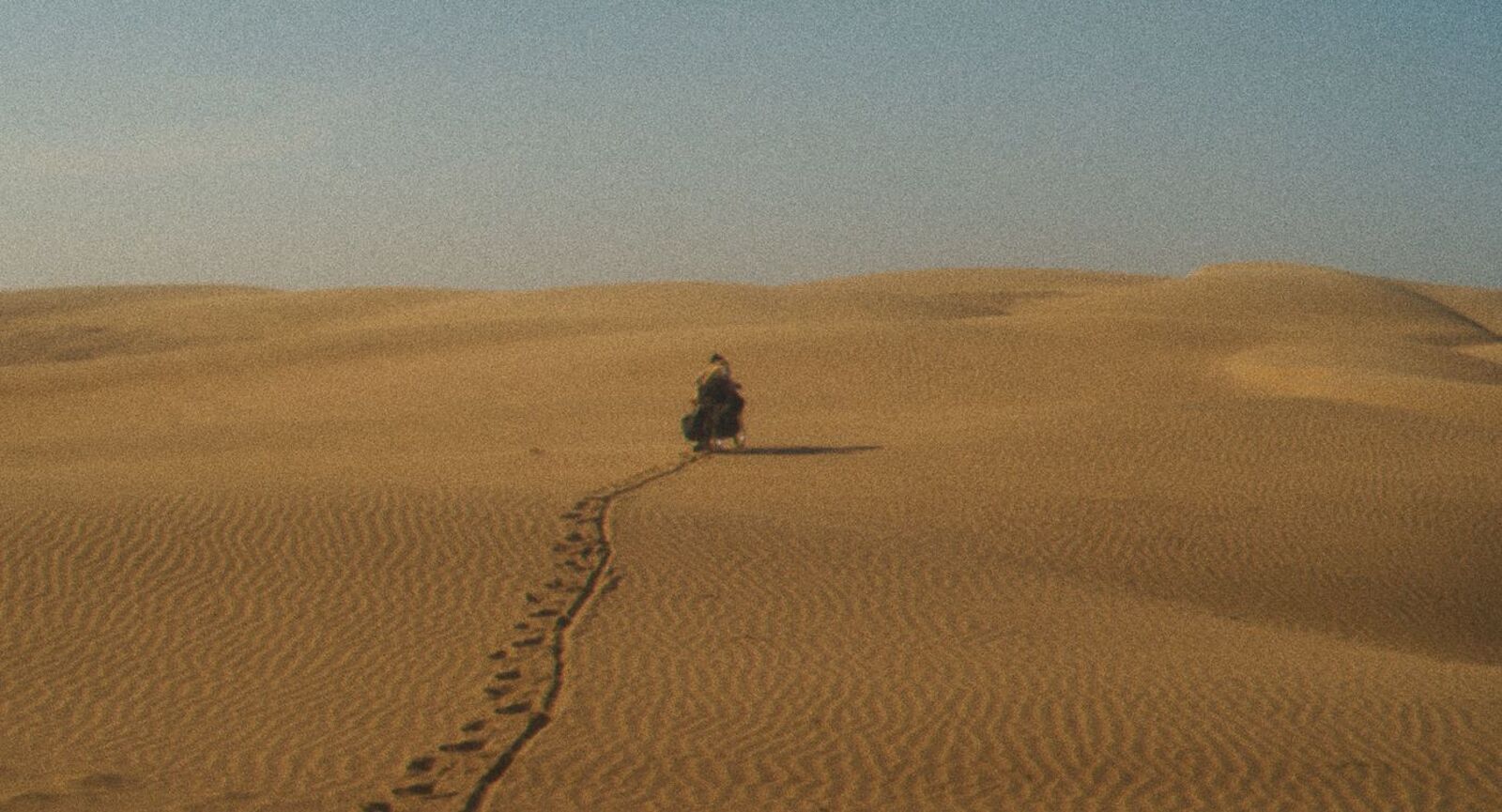 5110_still.jpg