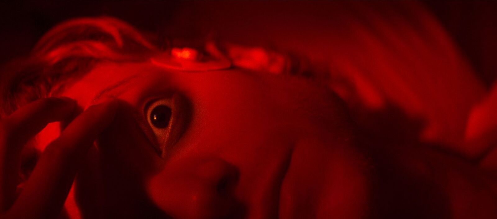 5199_still.jpg